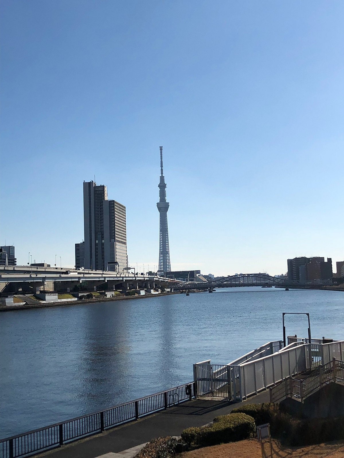 🌳 시오이리 공원 이미지 4